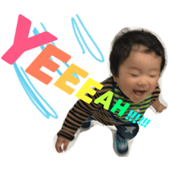 [LINEスタンプ] こちゃんぴん