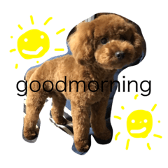 [LINEスタンプ] 愛犬のかいくん