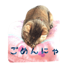 [LINEスタンプ] うちのはなぴょん