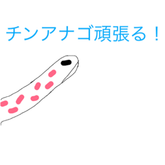 [LINEスタンプ] 二宮チンアナゴです。第2期。