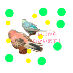 [LINEスタンプ] れもん、ちぇりー、らむね、ももちゃん