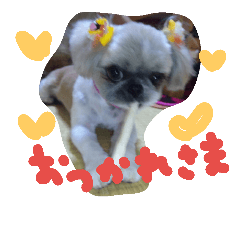 [LINEスタンプ] うちの愛犬メロン