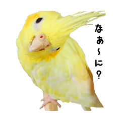 [LINEスタンプ] レモンと愉快な仲間たち