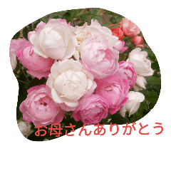 [LINEスタンプ] 心の花束♪