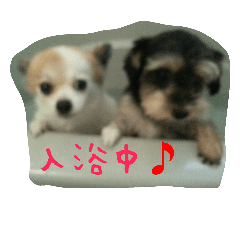 [LINEスタンプ] 安産を祈って