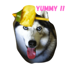 [LINEスタンプ] Dog days collection1 English version