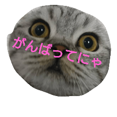[LINEスタンプ] mamolugu1