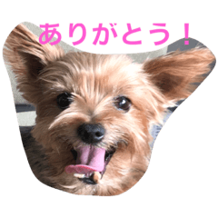 [LINEスタンプ] I'm Rock 