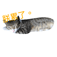 [LINEスタンプ] cat  and  rabbit