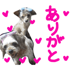 [LINEスタンプ] ぴざ＆ぱすた2