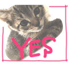 [LINEスタンプ] aduki3