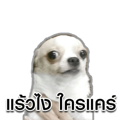 [LINEスタンプ] Hia Tod