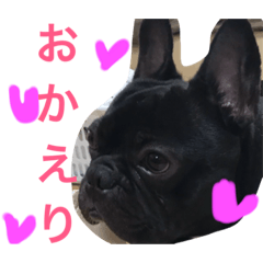 [LINEスタンプ] フレブルてつくんのいちにち