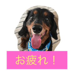 [LINEスタンプ] rizumu＆uta
