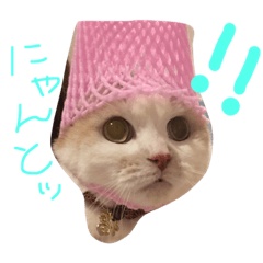 [LINEスタンプ] ほーちゅにー