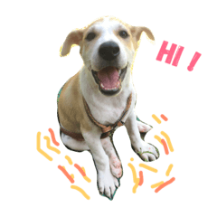 [LINEスタンプ] Special Jood