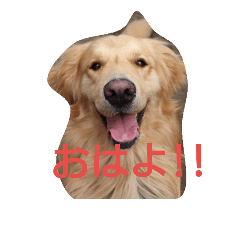 [LINEスタンプ] ごんたろー