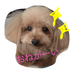 [LINEスタンプ] もさもさわたくん