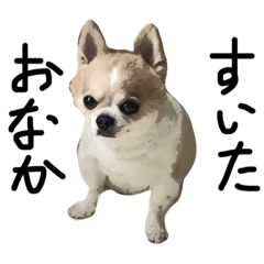 [LINEスタンプ] ume-tarou