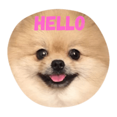 [LINEスタンプ] Fiji Wanna Say 