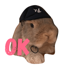 [LINEスタンプ] 橋本むぎくん