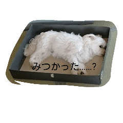 [LINEスタンプ] yurumiruku