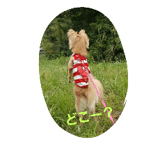 [LINEスタンプ] I love Dog  moko