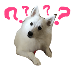 [LINEスタンプ] ゆきそら