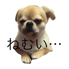 [LINEスタンプ] ターボとひめ