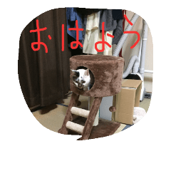[LINEスタンプ] メイ子
