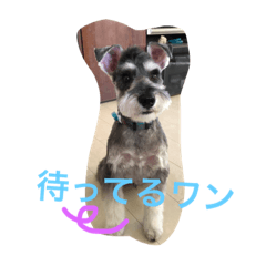 [LINEスタンプ] くるーくのつぶやき2
