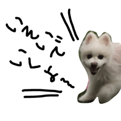 [LINEスタンプ] ポメポン2