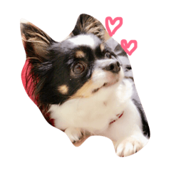 [LINEスタンプ] ちぇりえめ
