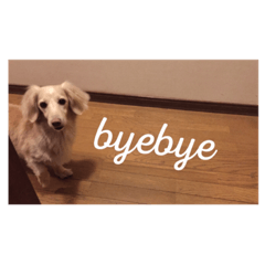 [LINEスタンプ] 愛愛愛犬 F
