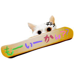 [LINEスタンプ] 白ねこのにゃあ暮らし♪