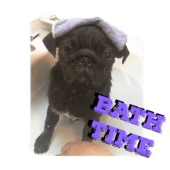 [LINEスタンプ] 2Dog.s