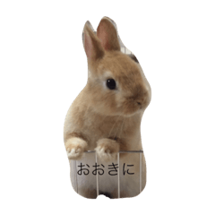 [LINEスタンプ] tamausanohitokoto