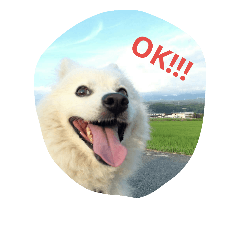 [LINEスタンプ] 犬   はく