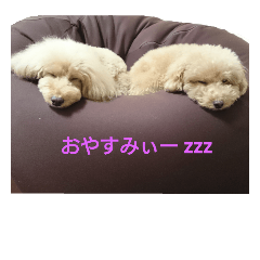 [LINEスタンプ] モコモコまみんず 2