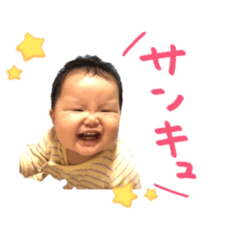 [LINEスタンプ] しょきたんスタンプ(日常会話) 