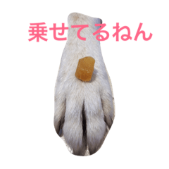 [LINEスタンプ] ざ.ワンコ