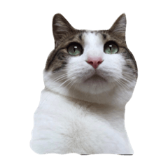 [LINEスタンプ] ティガーの世界