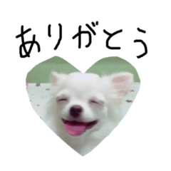 [LINEスタンプ] じわるツトムのスタンプ 