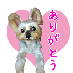 [LINEスタンプ] りく☆タイガー☆りゅう