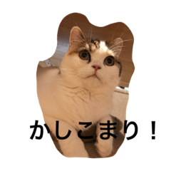 [LINEスタンプ] たりらん2♪