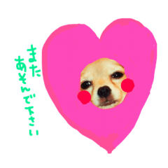 [LINEスタンプ] dog party 2