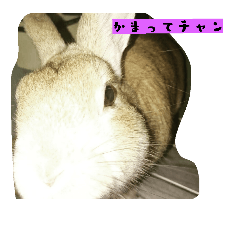 [LINEスタンプ] ウサギのじんた