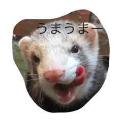 [LINEスタンプ] にょろにょろ生活