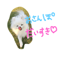 [LINEスタンプ] ごすけ