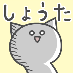 [LINEスタンプ] ☆★しょうた★☆ベーシックパック